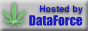 DataForce